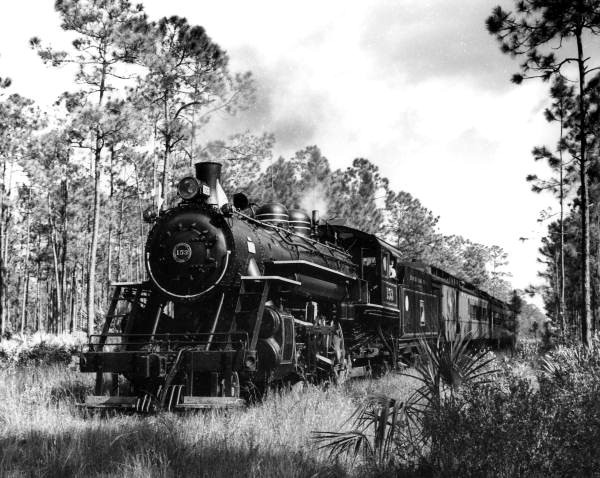 Train traveling on Henry Flagler's East Coast Railway during the late 1800s