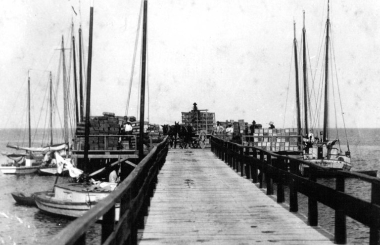 The Cutler dock, filled with commercial boats during the late 1800s