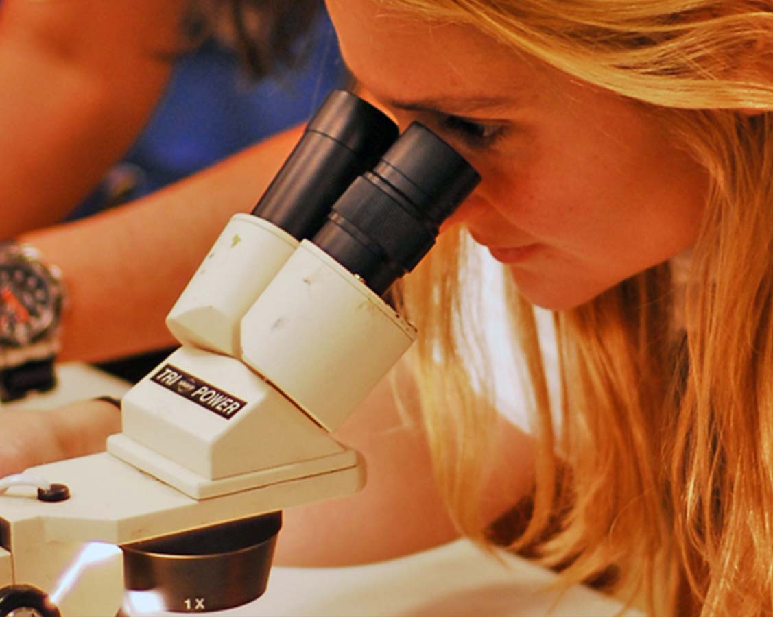 Student using a microscope to observe a small sample