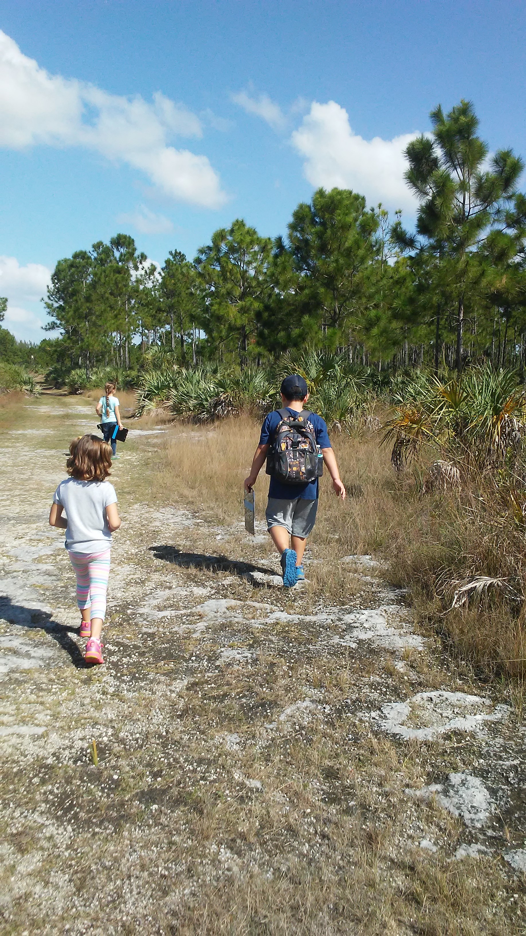 Professional Development Workshops at The Deering Estate