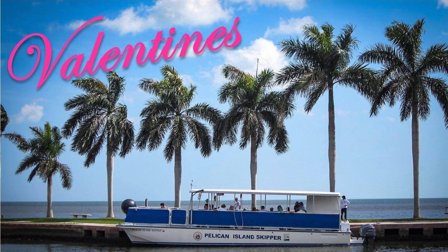 Valentines Bay Cruise at Deering Estate Miami, Florida