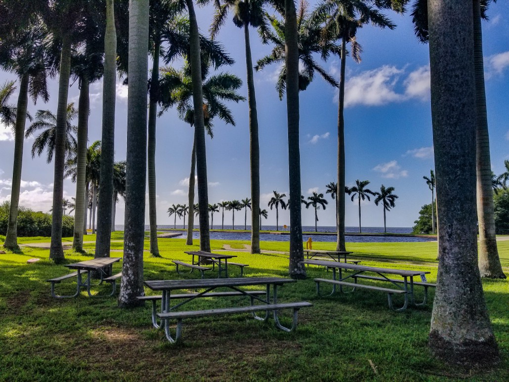 Set of picnic tables located under the royal palms of Deering Estate