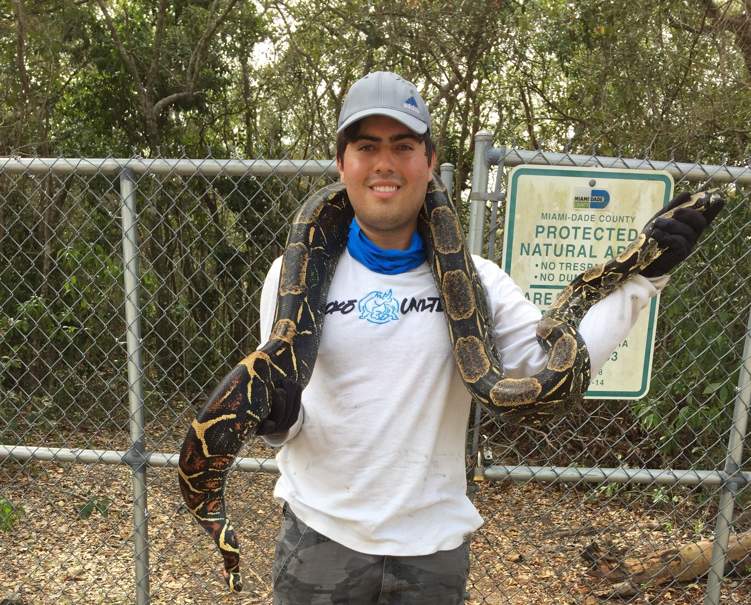 Intern holding a red tail boa, an invasive species of snake that are sometimes found at the deering estate