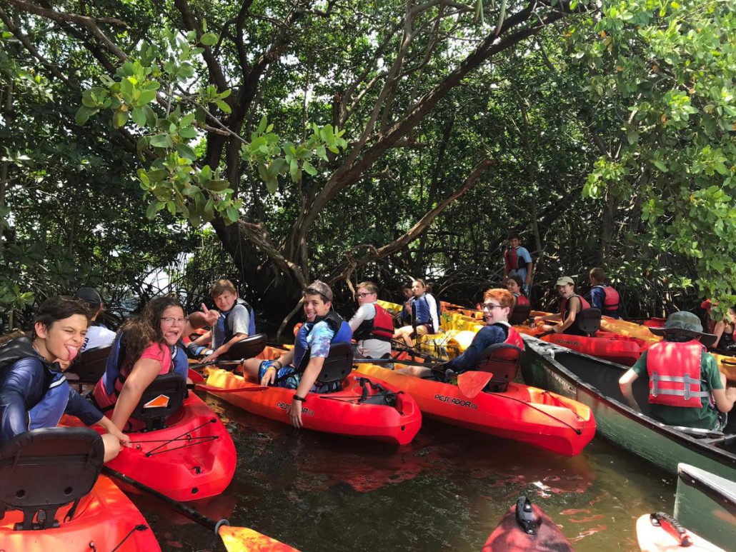 Group of tandem kayakers gathered together under the mangroves