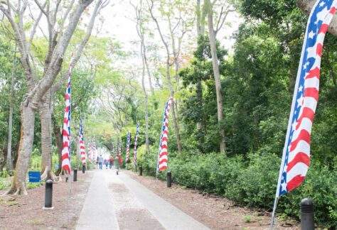 Main pathway of Deering Estate decorated for Memorial Day