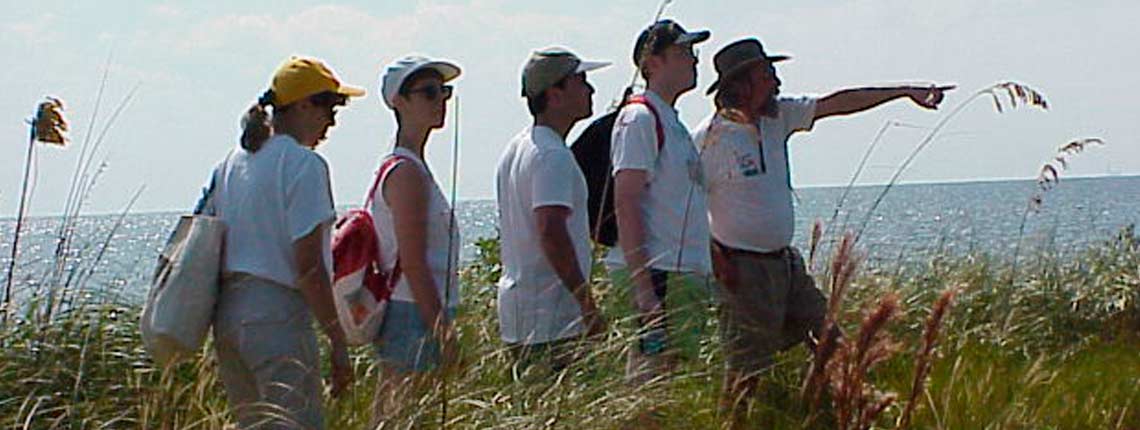 Small group of hikers walking through tall grass along Chicken Key