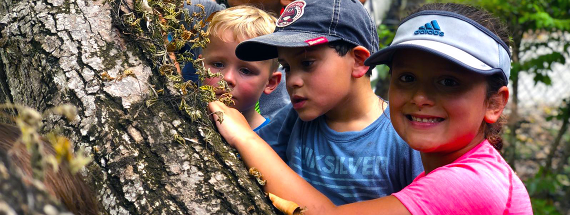 children exploring trees & nature at Deering Estate's kids camp