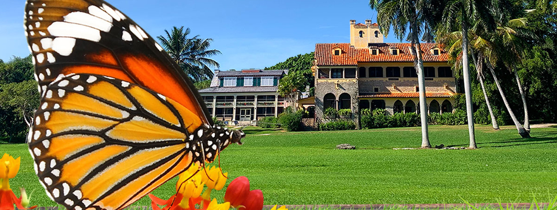 Monarch butterfly in front of Miami's family friendly Deering Estate