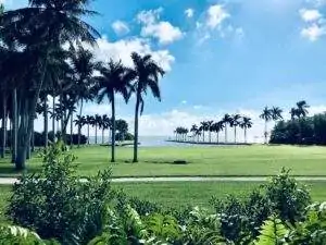 A view of the main lawn, palm trees, and Biscayne Bay on a quiet serene day.