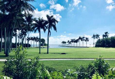 A view of the main lawn, palm trees, and Biscayne Bay on a quiet serene day.