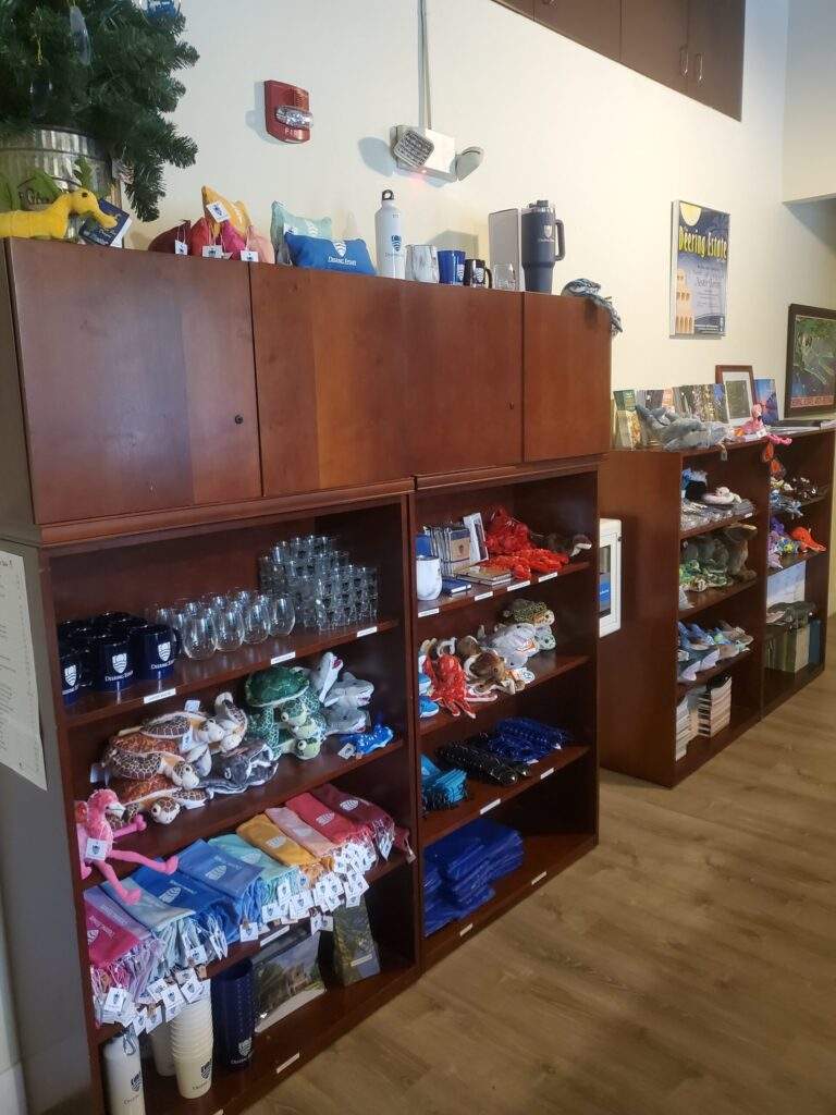 The Deering Estate gift shop with two bookcases filled with various items for purchase.