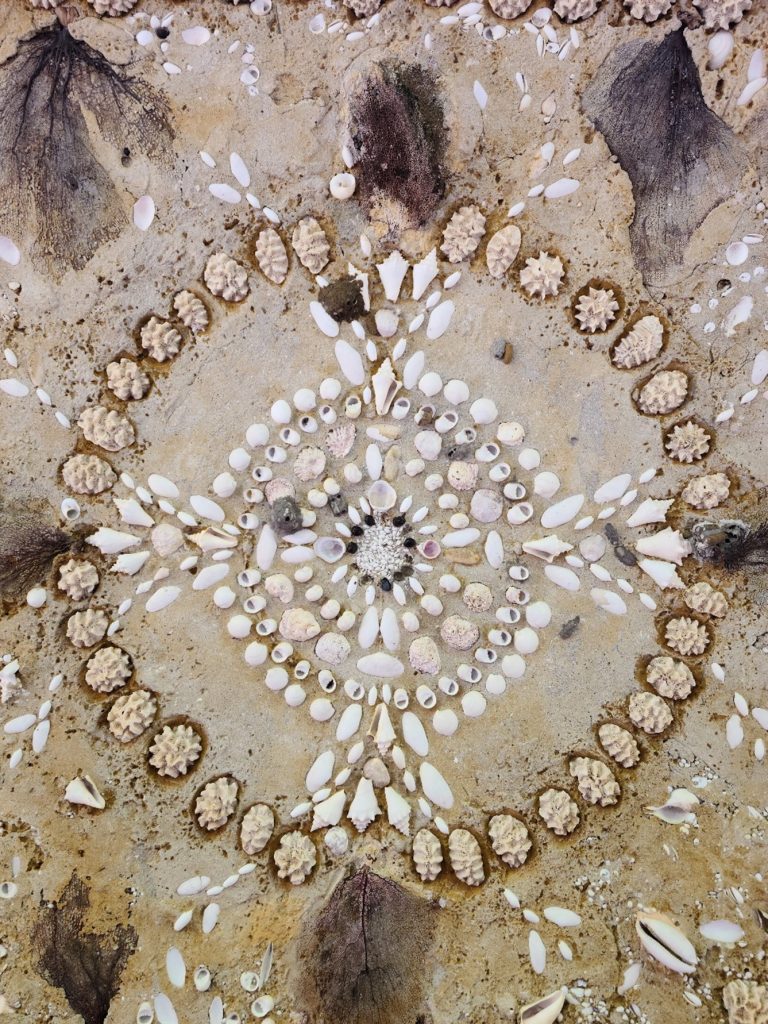 Beautifully detailed seashell mosaic on the ceiling of the Stone House walkway.
