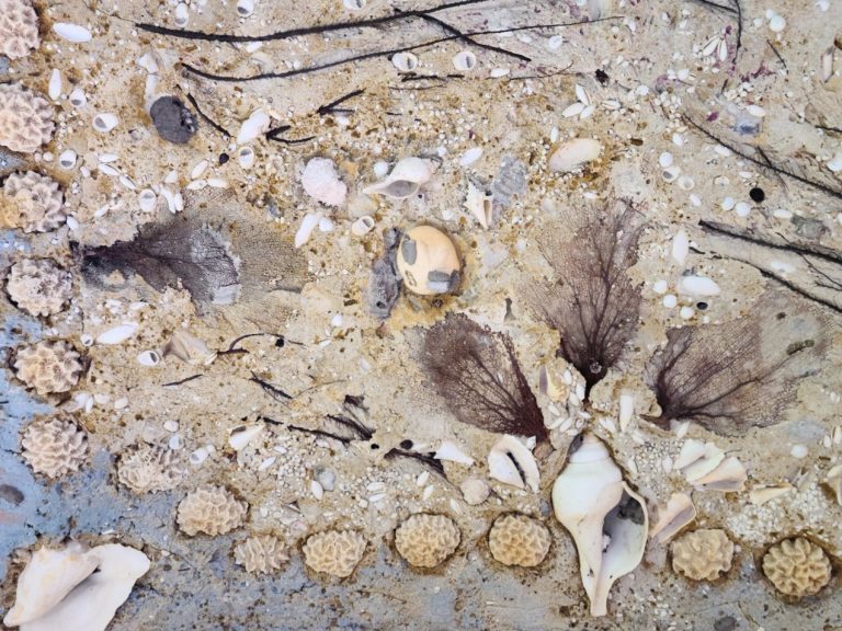 Beautifully detailed seashell mosaic on the ceiling of the Stone House walkway.