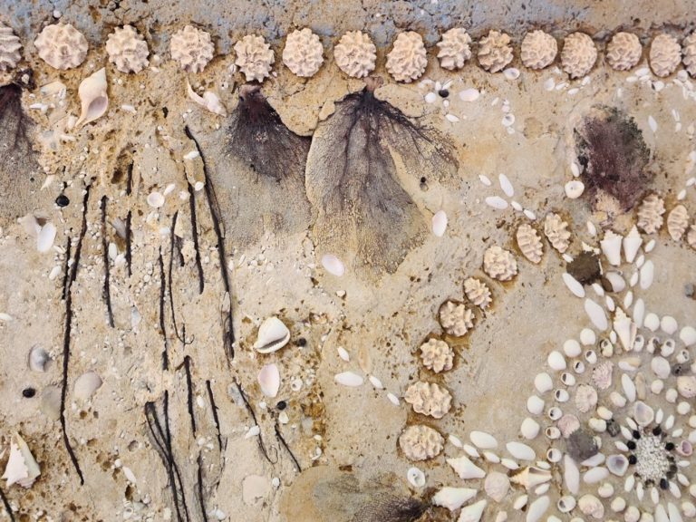 Beautifully detailed seashell mosaic on the ceiling of the Stone House walkway.