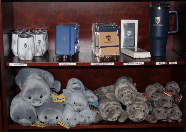 A wooden bookcase that displays insulated wine tumblers, journals, power banks, and a large drink tumbler. Another shelf displays various manatee plushies.