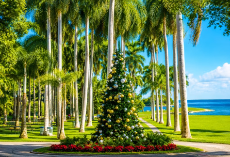 Decorated Christmas tree adorned with gold and silver ornaments stands among tall palm trees at Deering Estate, overlooking Biscayne Bay. Lush green lawns, tropical foliage, and vibrant red poinsettias create a festive South Florida holiday scene beneath a bright blue sky.