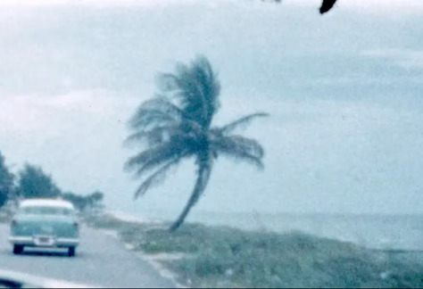Blue-gray film still of a vintage car driving along the coast of a body of water.
