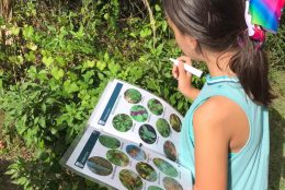 Child learning about ethnobotany on field trip at The Deering Estate.
