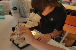Child viewing plankton through microscope for marine science focused field trip.