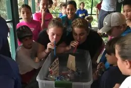 Kids working together to learn about physics on field trip at Deering Estate.